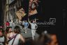 Istrice: la gallery del Giro 2021